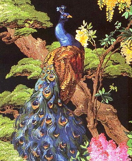 peacock-wallpaper